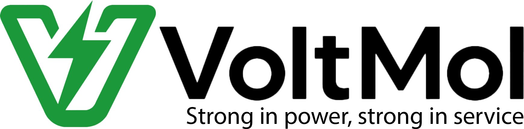 VoltMol Logo with Slogan